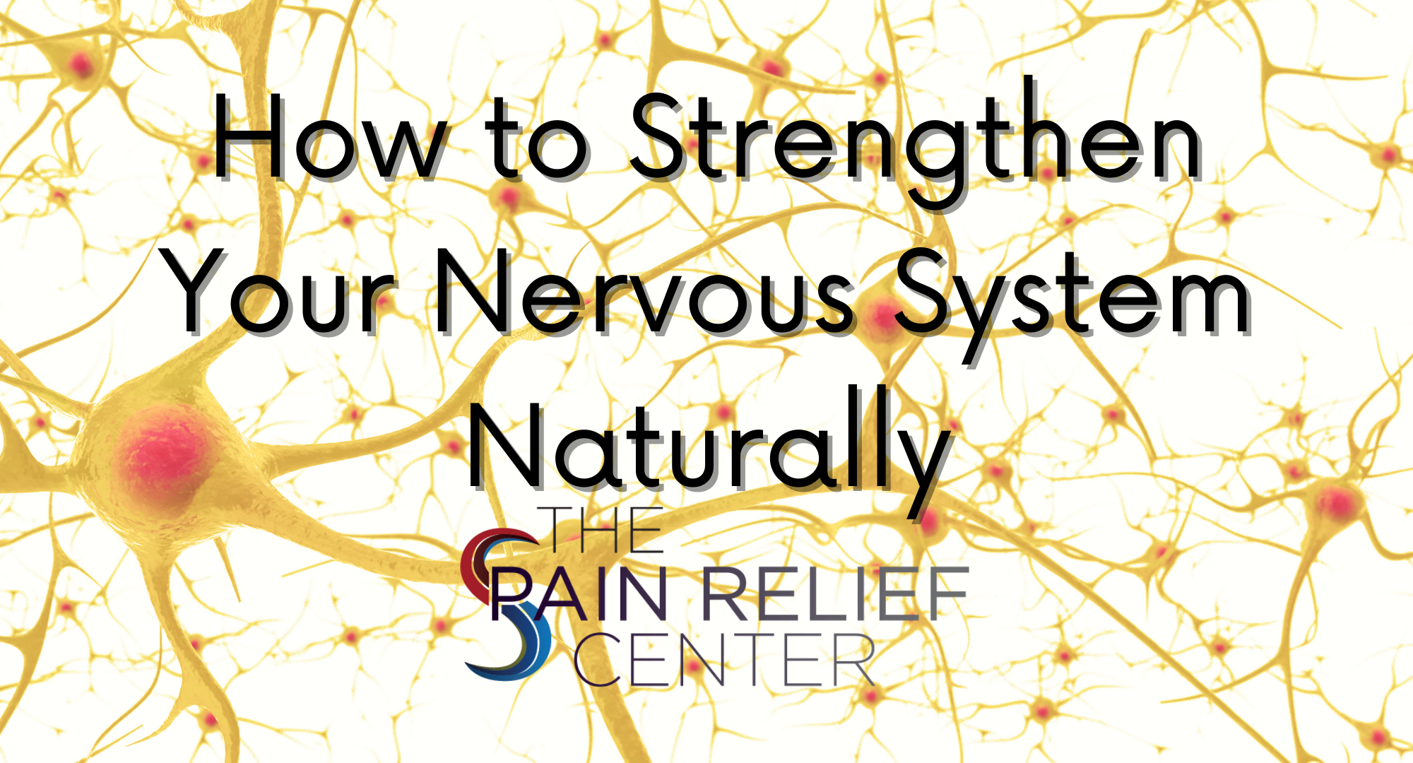 how to repair nervous system naturally