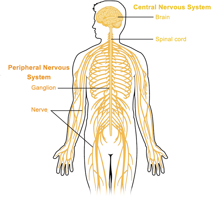 peripheral nerve stimulation